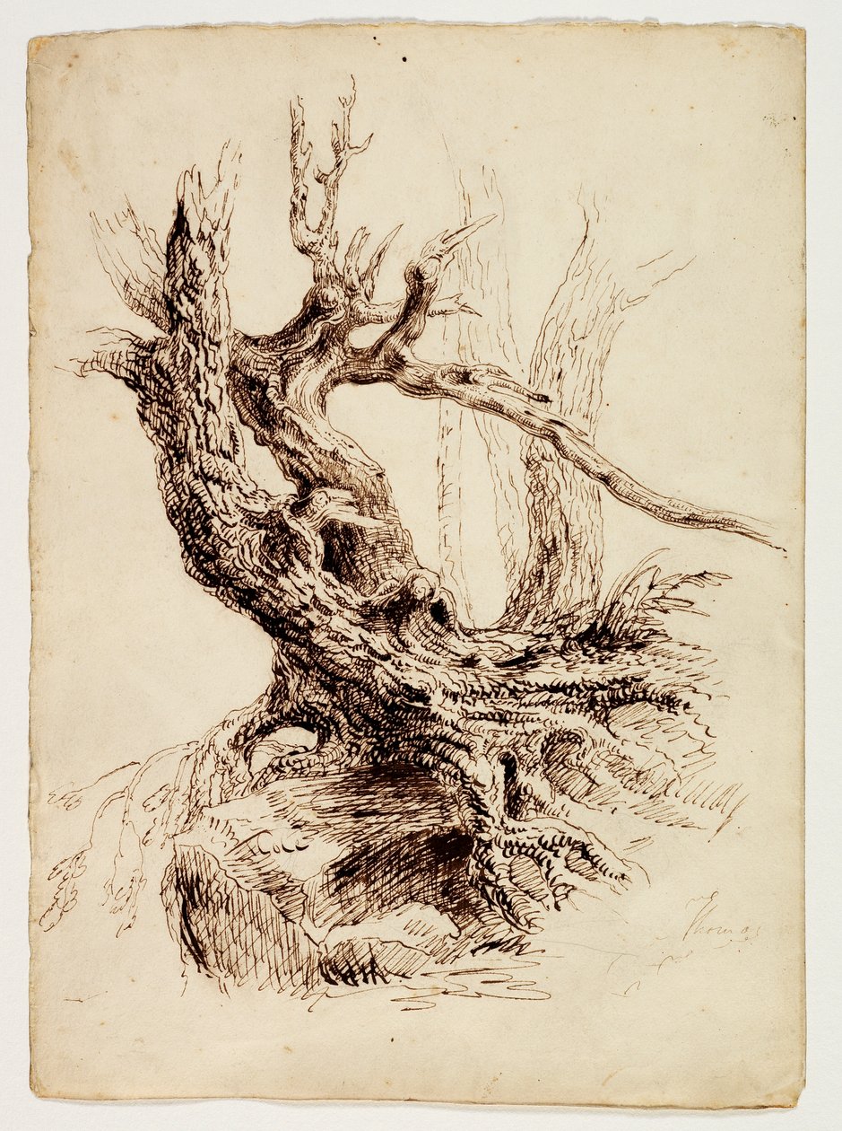 パリで描かれた1977年作】CAGRAIN CANSO 作 鉛筆画 / 木炭画